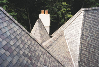 Roof displaying a blend of natural slate colors